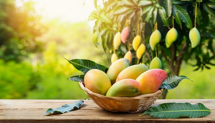 Mango